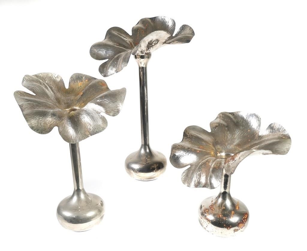(3) MARILENA MARIOTTO AMARYLLIS