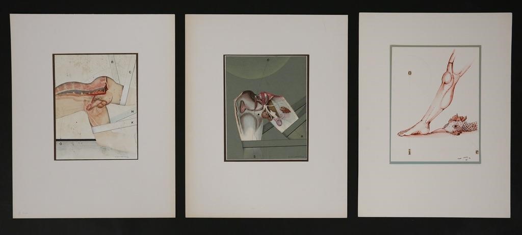 3 MICHEL LABLAIS ANATOMICAL MIXED