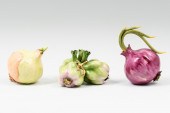 3-PC. KATHERINE HOUSTON ORGANI