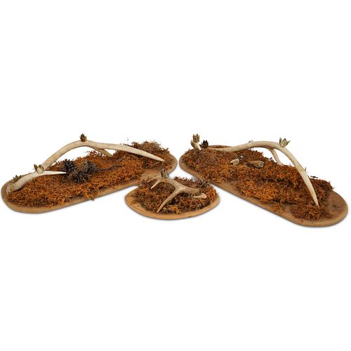 (3 PC) VINTAGE ANTLER