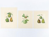 3 PCS, GEORGE BROOKSHAW PEAR E