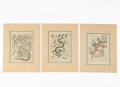 3 PCS, MARK CATESBY SNAKE HAND