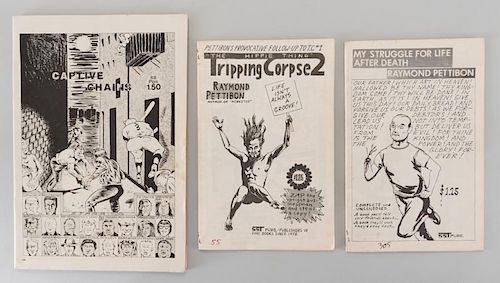 3 RAYMOND PETTIBON ARTIST