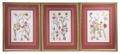 (3) REPLICA PHOTOLITHO PRINTS