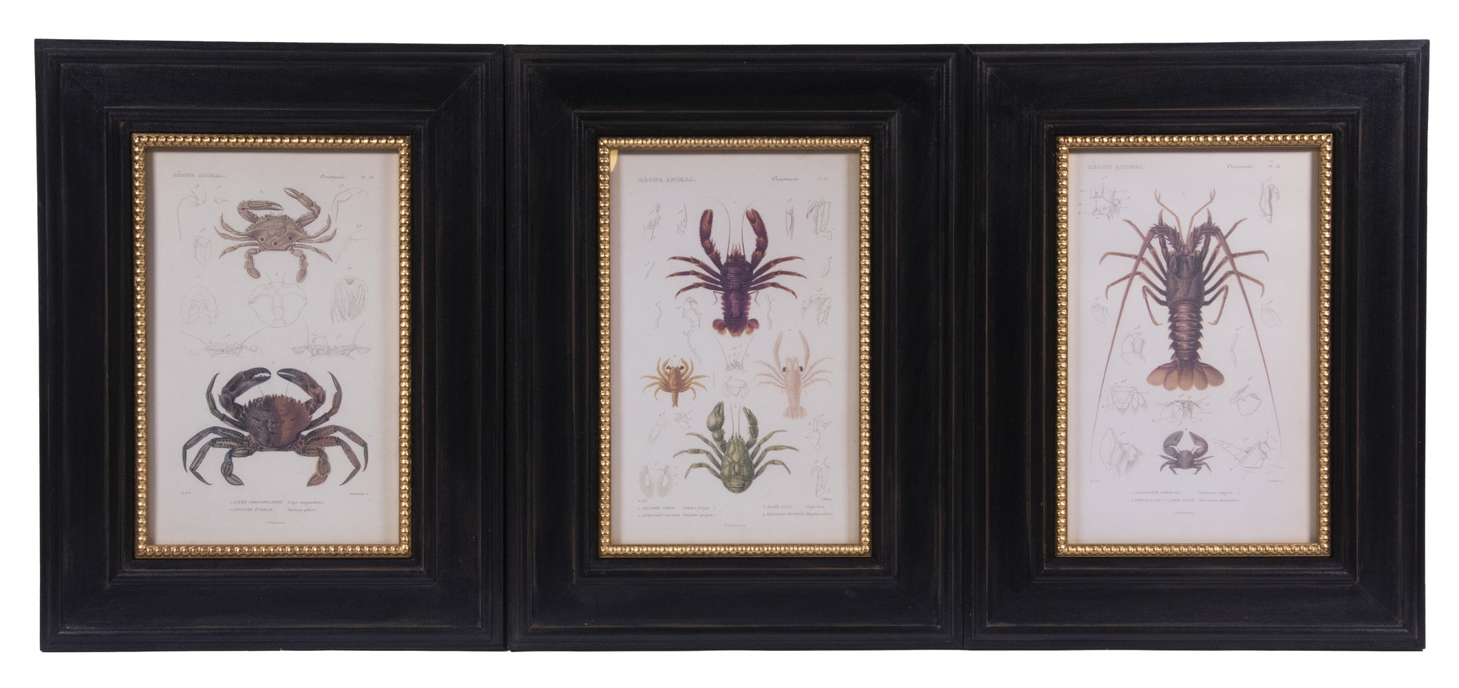 (3) REPLICA PHOTOLITHO PRINTS OF