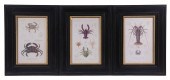(3) REPLICA PHOTOLITHO PRINTS