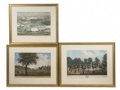 (3) SCARCE VUE D'OPTIQUES, VIE