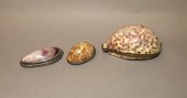 3 SHELL CONTAINERSca. 1880-192