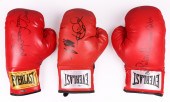 (3) Signed everlast boxing glo
