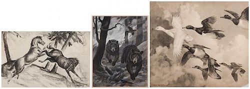 3 SPORTING ART ILLUSTRATIONS: