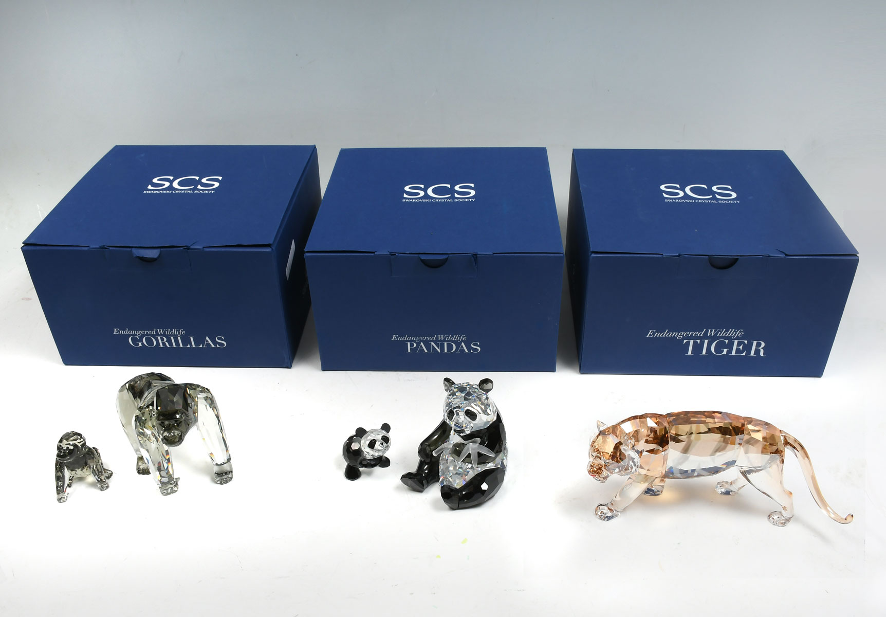 3 SWAROVSKI SCS ENDANGERED - TIGER,