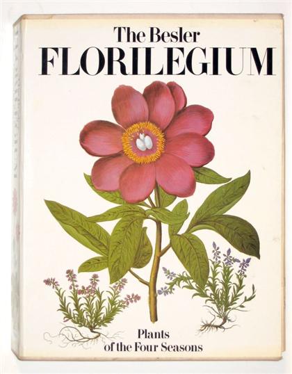 3 vols.  (Natural History.)