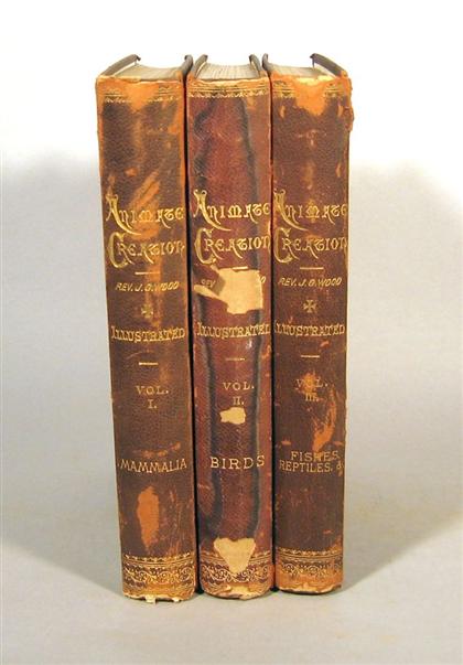 3 vols.   Wood, J.G. Animate