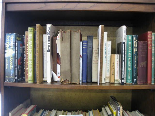 30 Books on Horses various