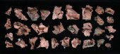 30 NATURAL RED COPPER NATIVE F
