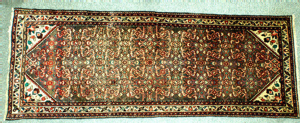 3.6 x 9.7 Hamadan throw rug 