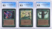 3PC 1993 MAGIC THE GATHERING B