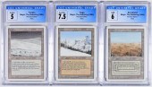 3PC 1994 MTG REVISED SCRUBLAND