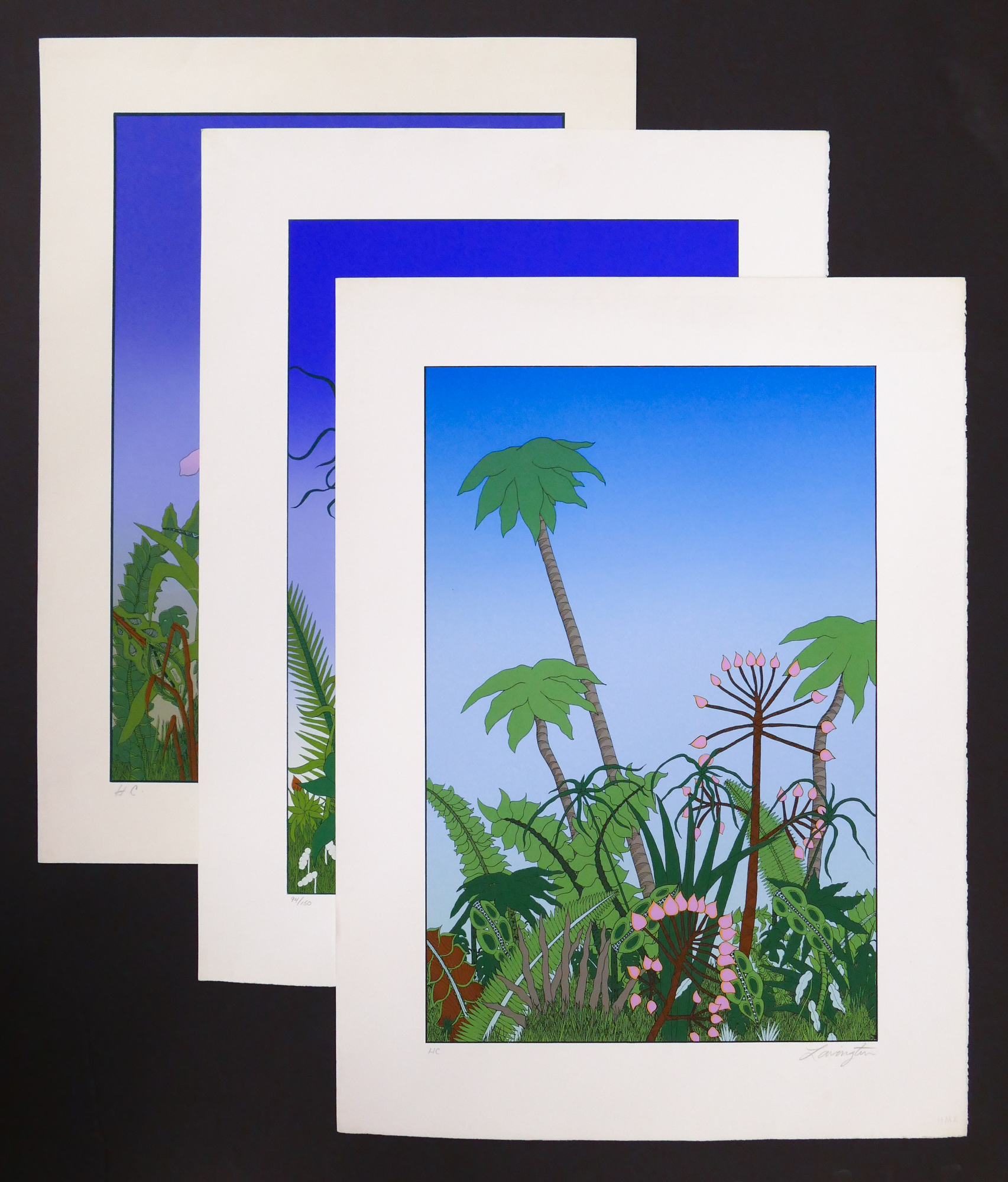 3pc David Lavington Jungle S/N