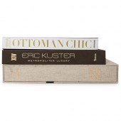 (3PC) DESIGNER COFFEE TABLE BO