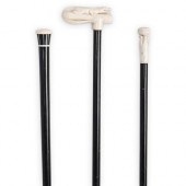 (3PC) FIGURAL BONE WALKING STI