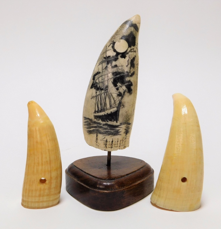 3PC SCRIMSHAW & WHALE TEETH