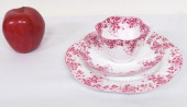 3PC SHELLEY DAINTY PINK BONE C