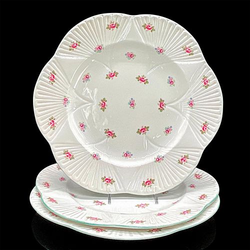 3PC SHELLEY ENGLAND DINNER