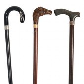 (3PC) WALKING STICK GROUPINGDE