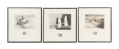 3PCS 1966-68 FEDERAL DUCK STAM