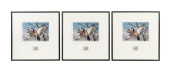 3PCS 1974 FEDERAL DUCK STAMP P