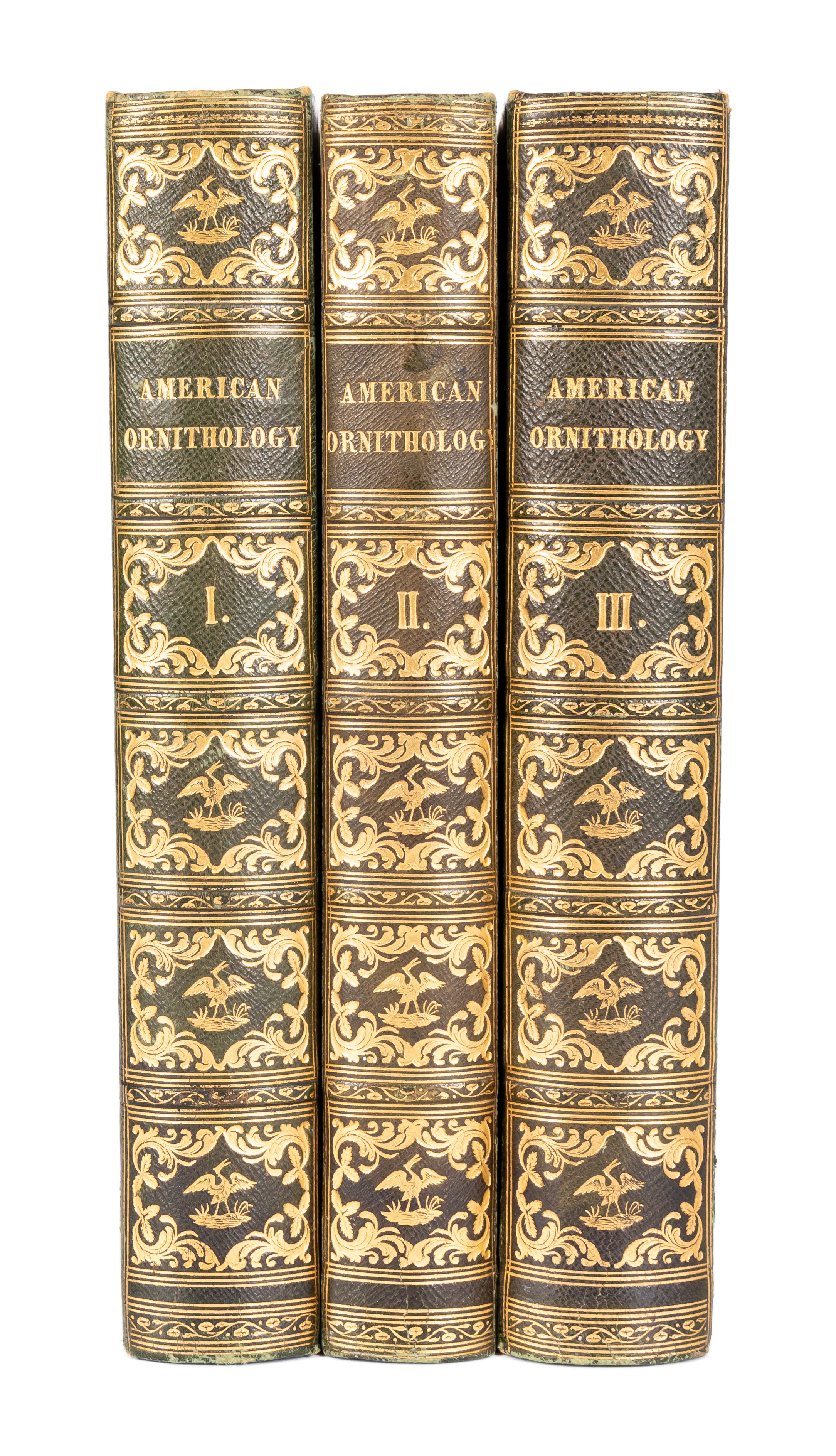 3VOL A. WILSON, AMERICAN