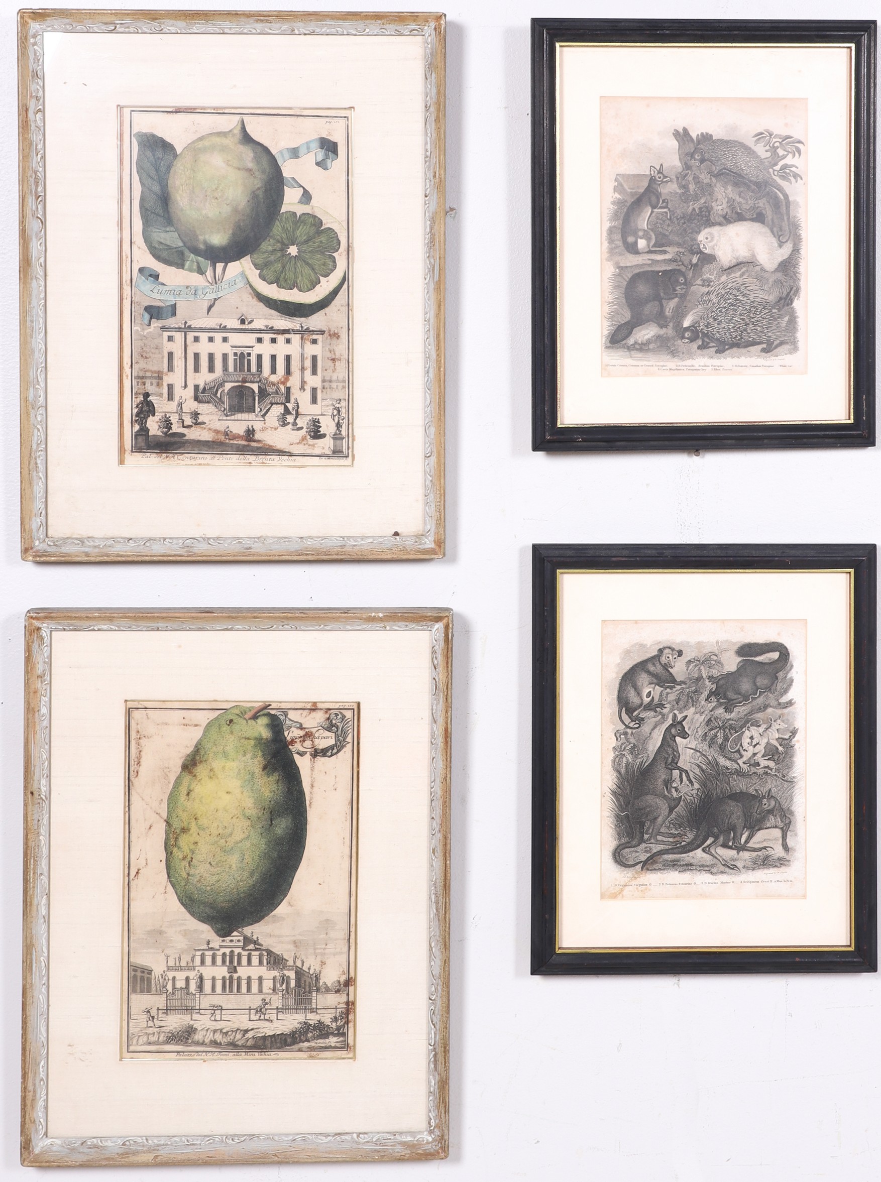 4 Antique Engravings 2 engravings