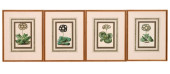 4 ANTIQUE JAS. ANDREWS FRAMED