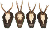 (4) AUSTRIAN BLACK FOREST DEER