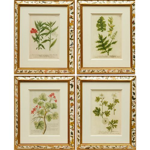 (4) BOTANICAL PRINTS, TROWBRIDGE