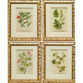 (4) BOTANICAL PRINTS, TROWBRID