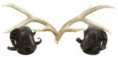 (4) BRONZE RAMS' HEADS WALL MO