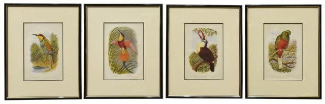 (4) CASSELL'S ORNITHOLOGY