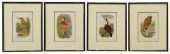 (4) CASSELL'S ORNITHOLOGY CHRO