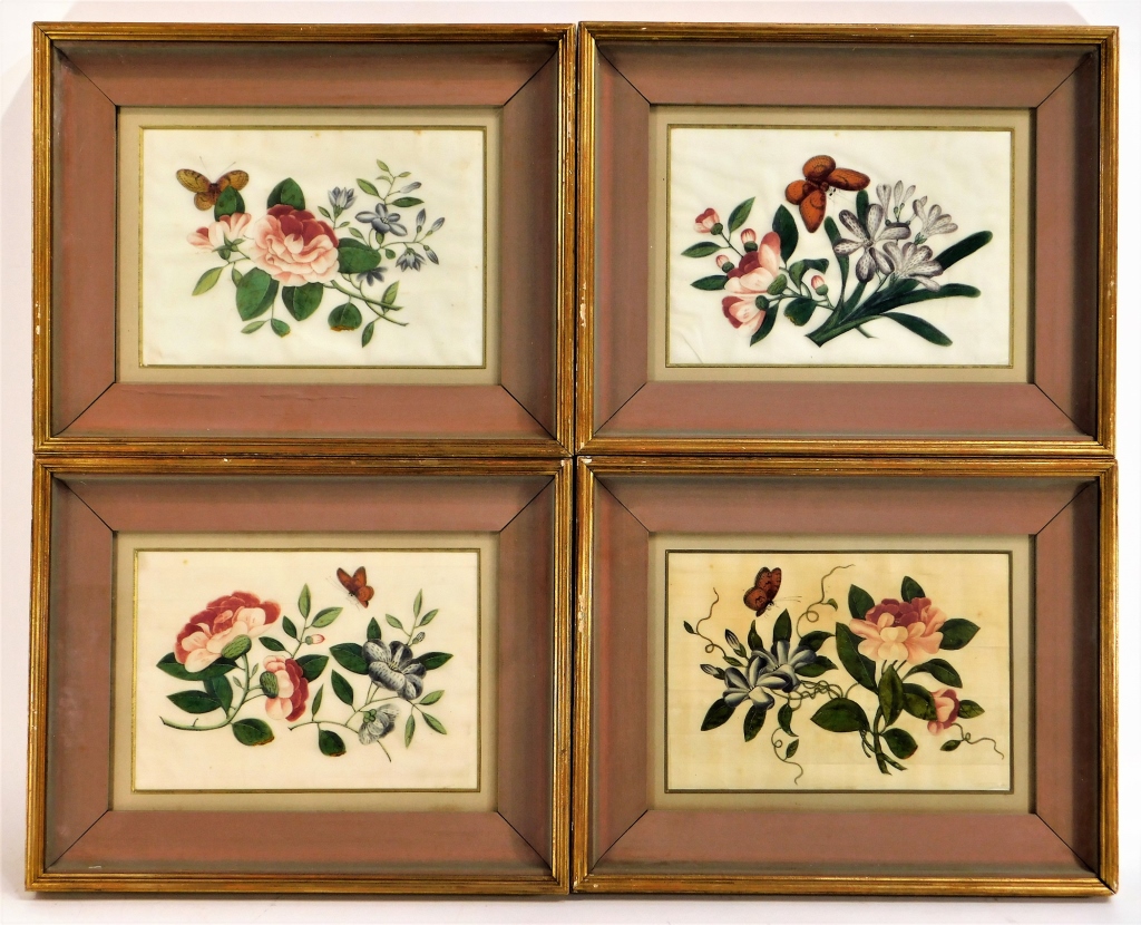 4 CHINESE BOTANICAL BUTTERFLY