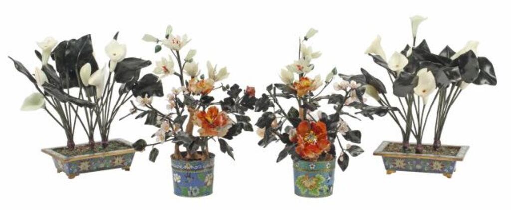 4) CHINESE JADE FLOWER TREES IN