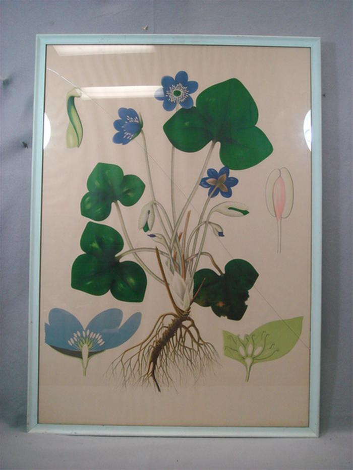 4 colored floral lithographic