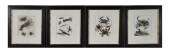 (4) CRUSTACEAN ZOOLOGICAL PRIN