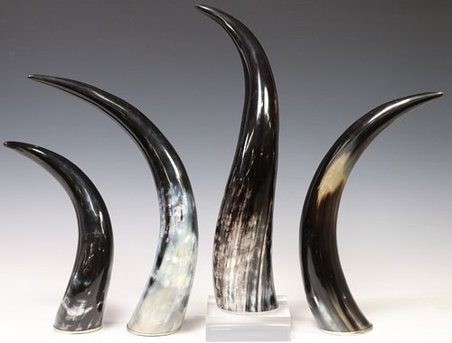 (4) DECORATIVE NATURAL STEER HORNS,