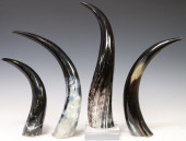 (4) DECORATIVE NATURAL STEER H