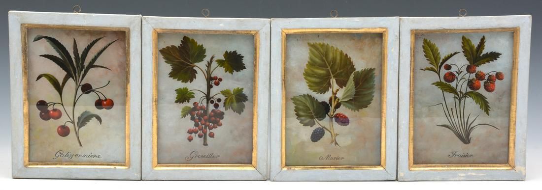 4 EARLY FLORENTINE BOTANICAL