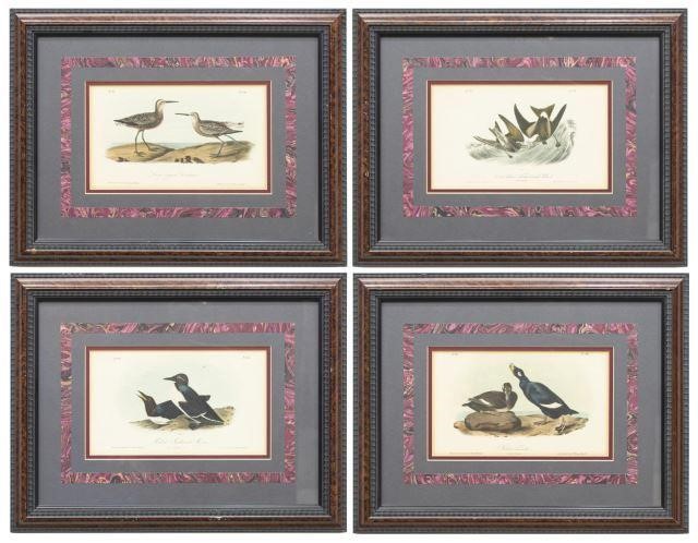 (4) FRAMED AUDUBON BIRDS OF AMERICA