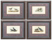 (4) FRAMED AUDUBON BIRDS OF AM