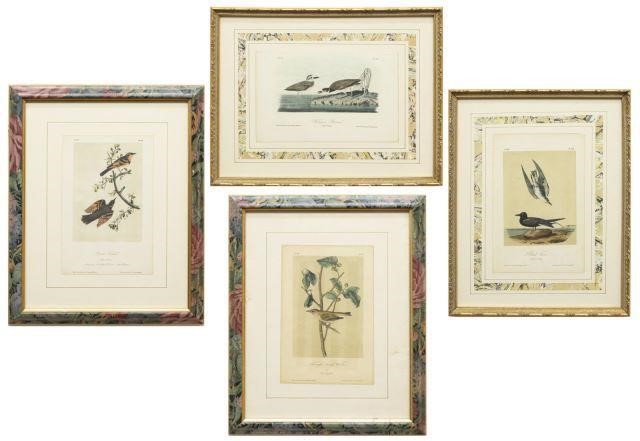 (4) FRAMED AUDUBON BIRDS OF AMERICA